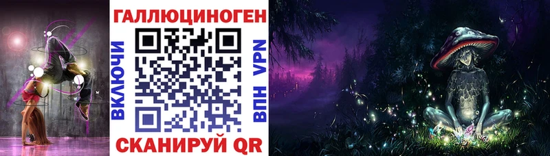 Купить где  Камешково  Псилоцибиновые грибы Magic Shrooms 